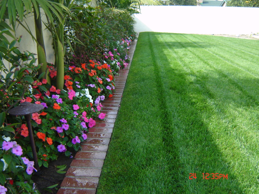 Yard Garden Landscaping Ideas For North Facing Front Yard